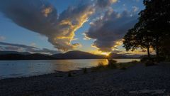 Gänse im Loch Lomond