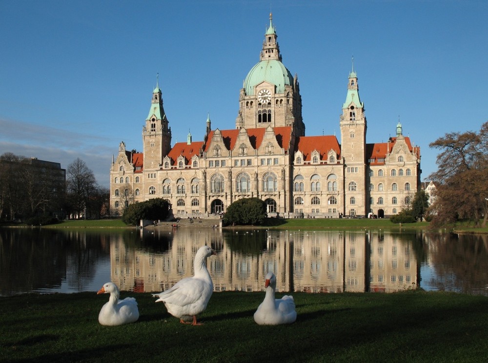 Gänse Meeting im Maschpark in Hannover