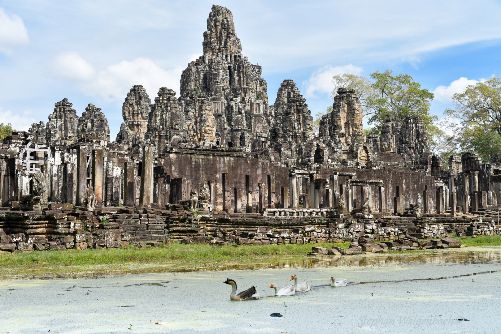 Gänse vor dem Bayon Tempel Angkor Wat