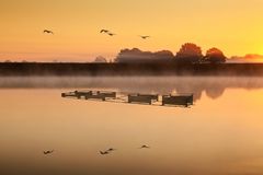 Gänsealarm am Baggersee