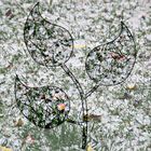 Gänseblümchen an Hagel