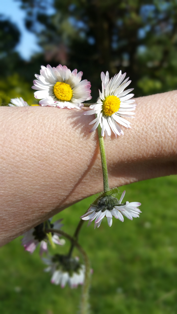 Gänseblümchen-Armband 