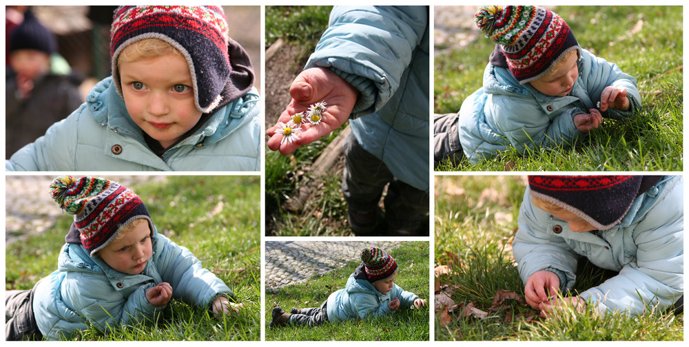 gänseblümchen - hunter