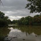 Gänsefamilie auf dem Südteich