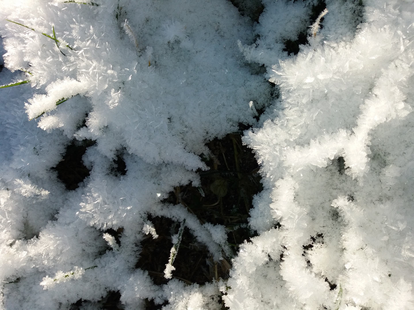 Gänsehaut der Erde Foto & Bild jahreszeiten, winter, natur Bilder auf