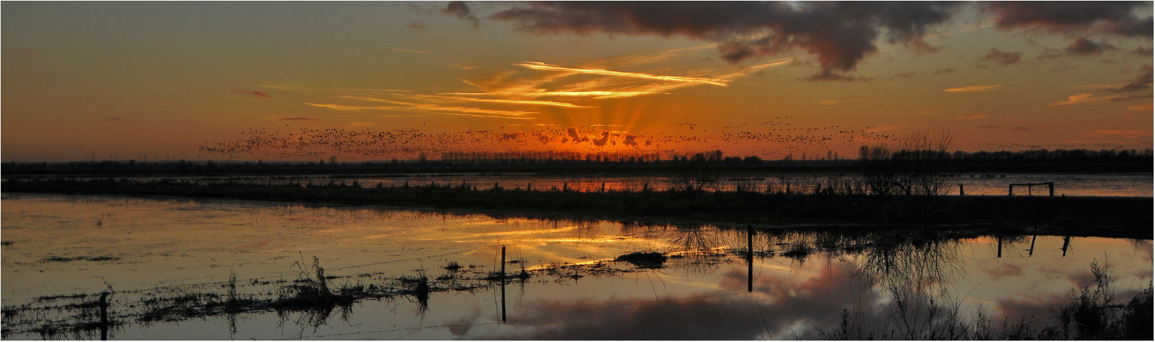 "Gänsehimmel"