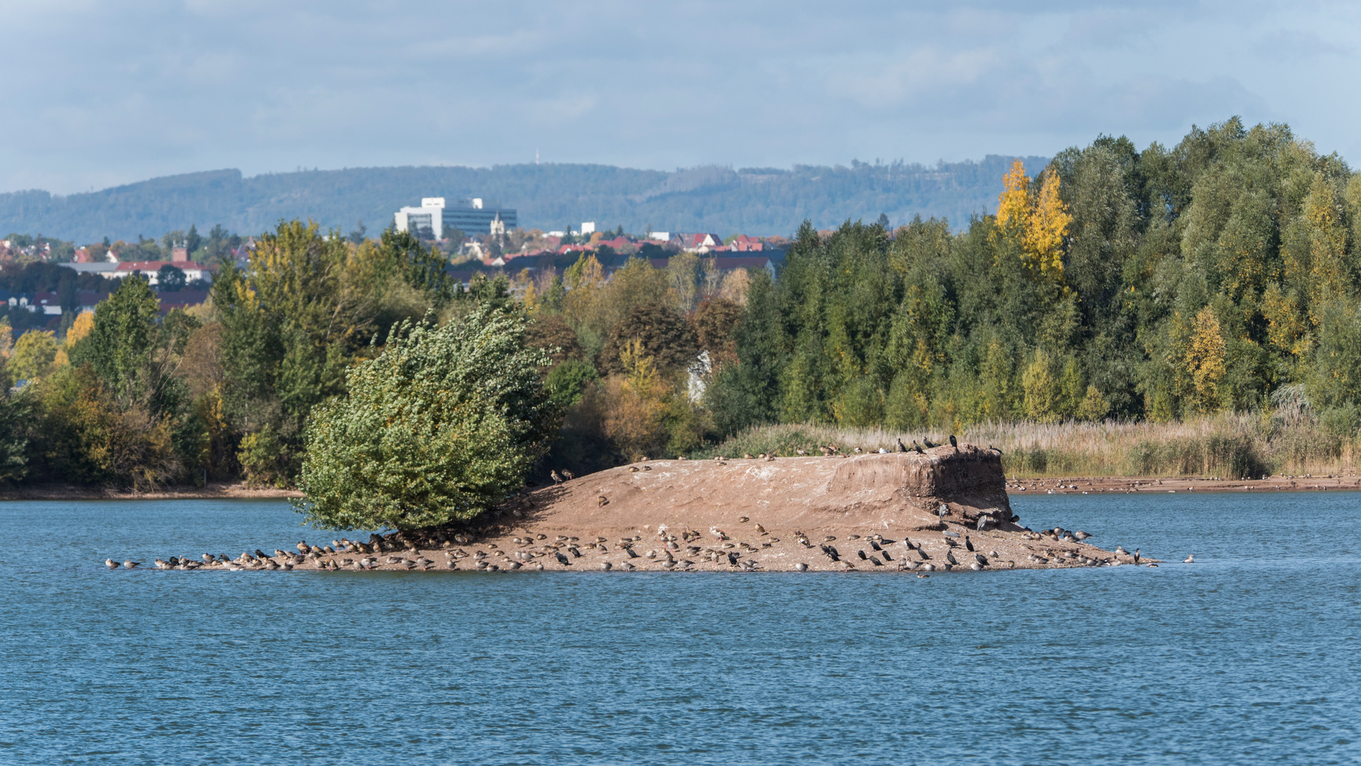 Gänseinsel