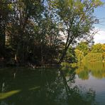 Gänseinsel im Südteich