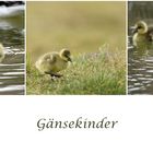 Gänsekinder