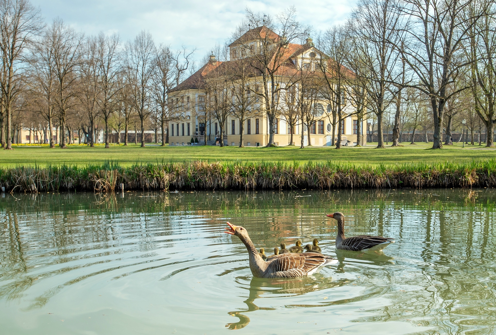 ::. Gänseklein .::