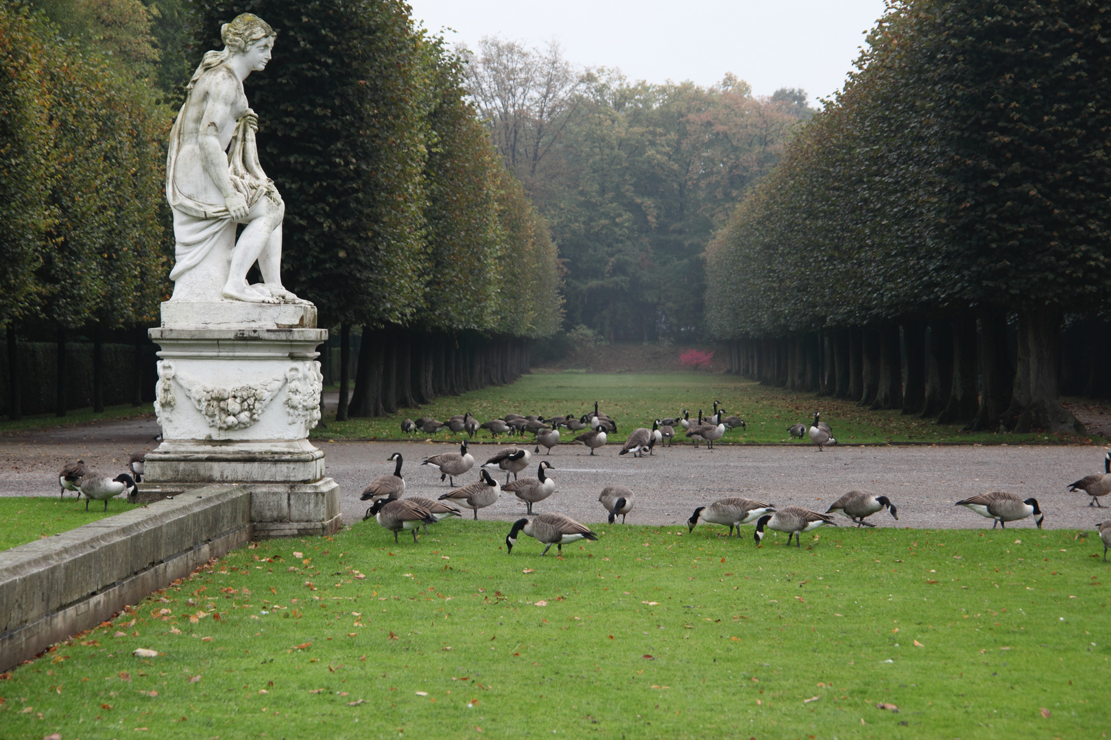 "Gänseliesel" im Park von Schloss_Benrath