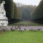 "Gänseliesel" im Park von Schloss_Benrath