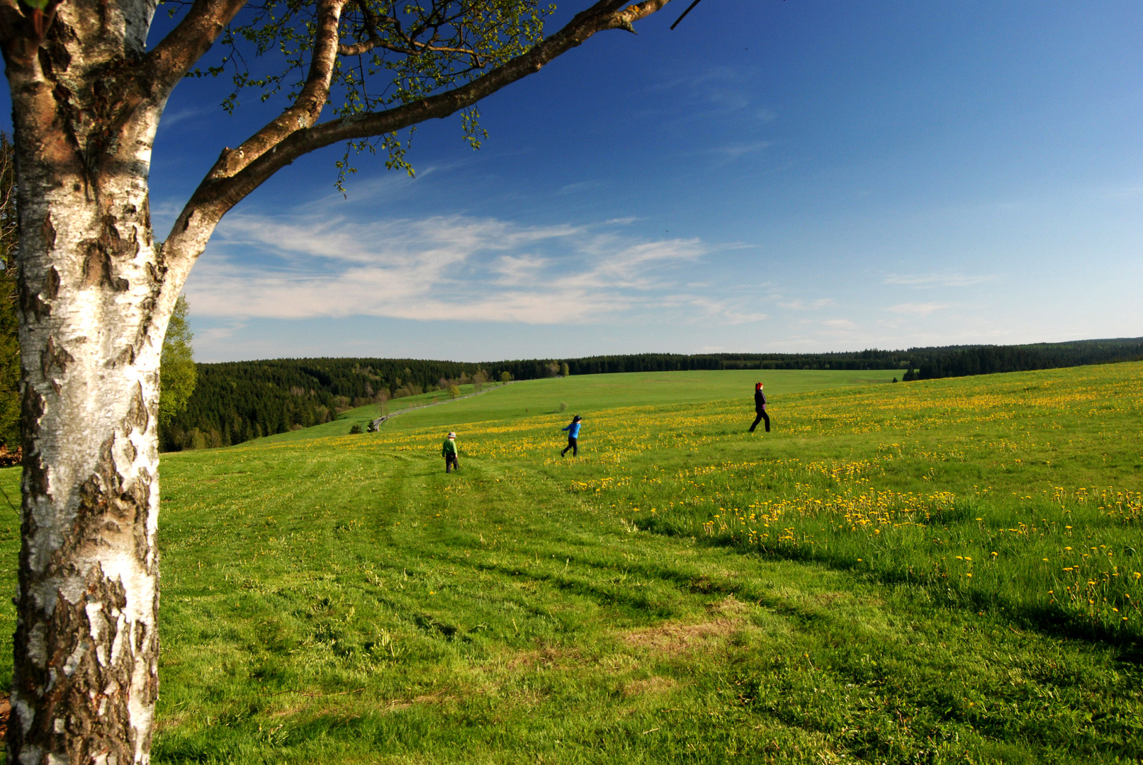 Gänsemarsch