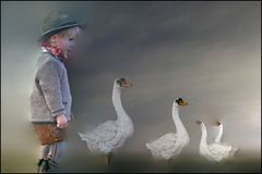 Gänsepeter...