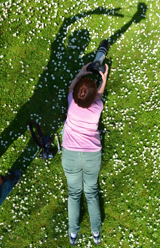 Gänseplümschenfotografie Fortgeschrittene IV