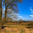 Gänseshooting in Winzer