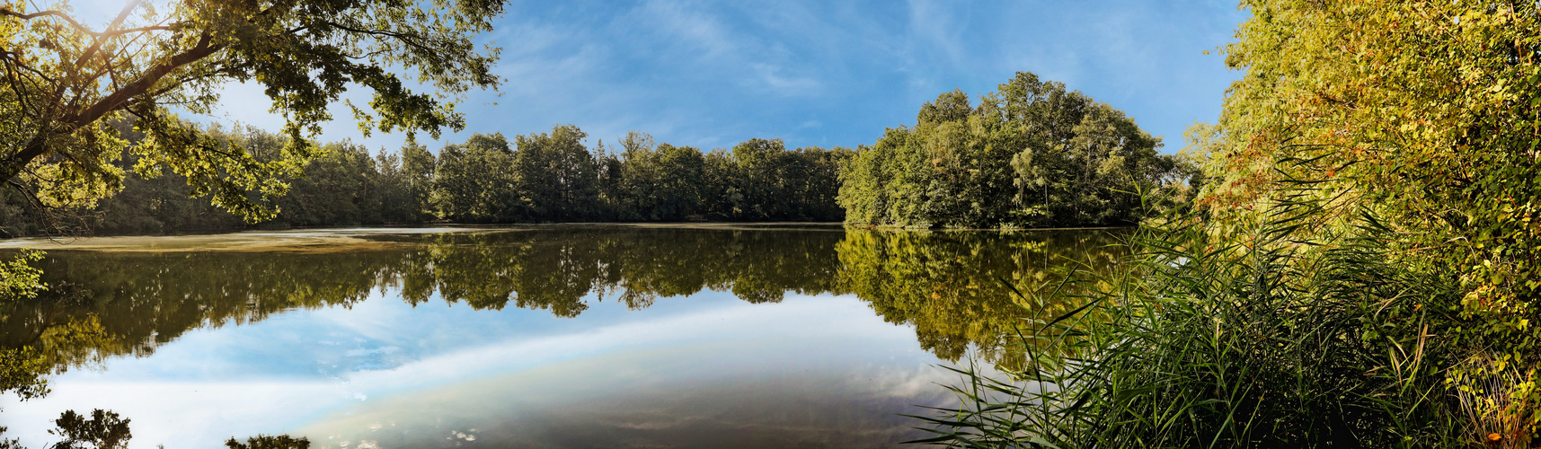 Gänseweiher