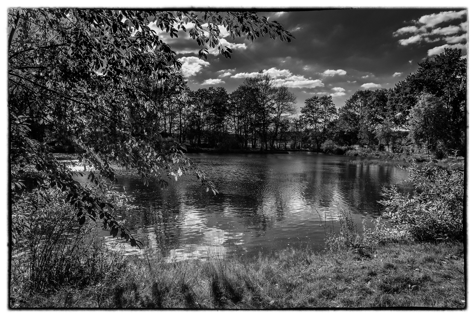 Gänseweiher