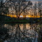 _Gänseweiher im Dezember