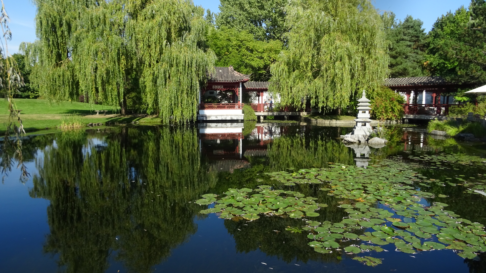 Gärten der Welt Foto & Bild baum, berlin, natur Bilder auf
