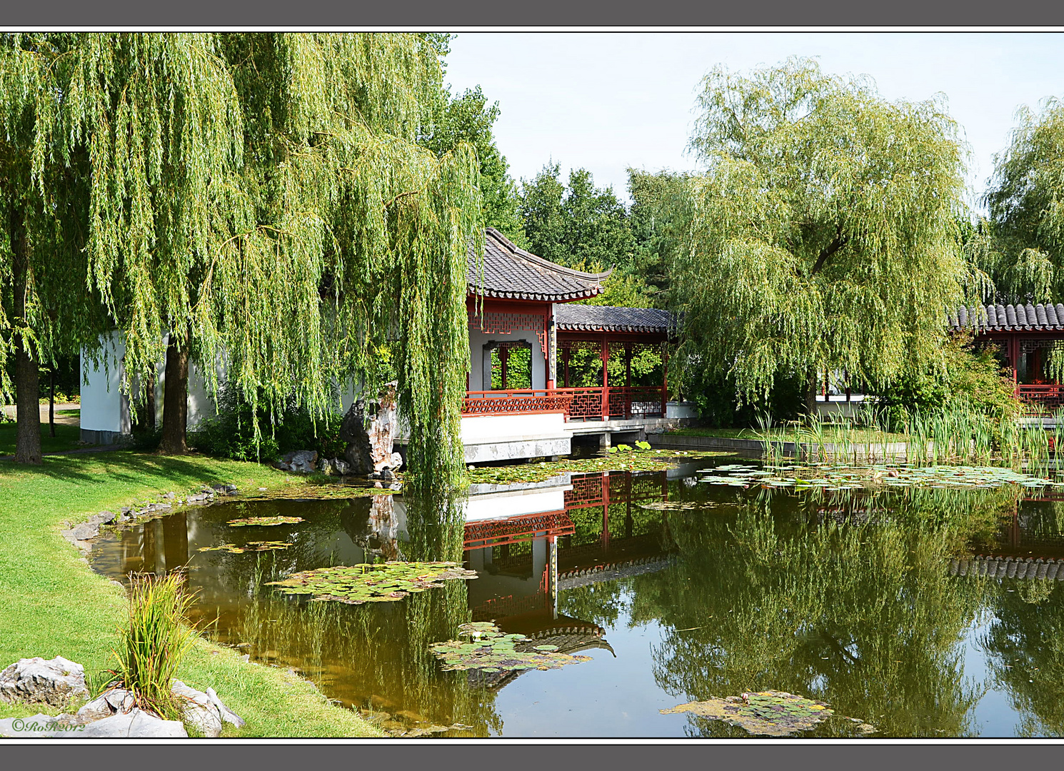 Gärten der Welt - Im Chinesischen Garten