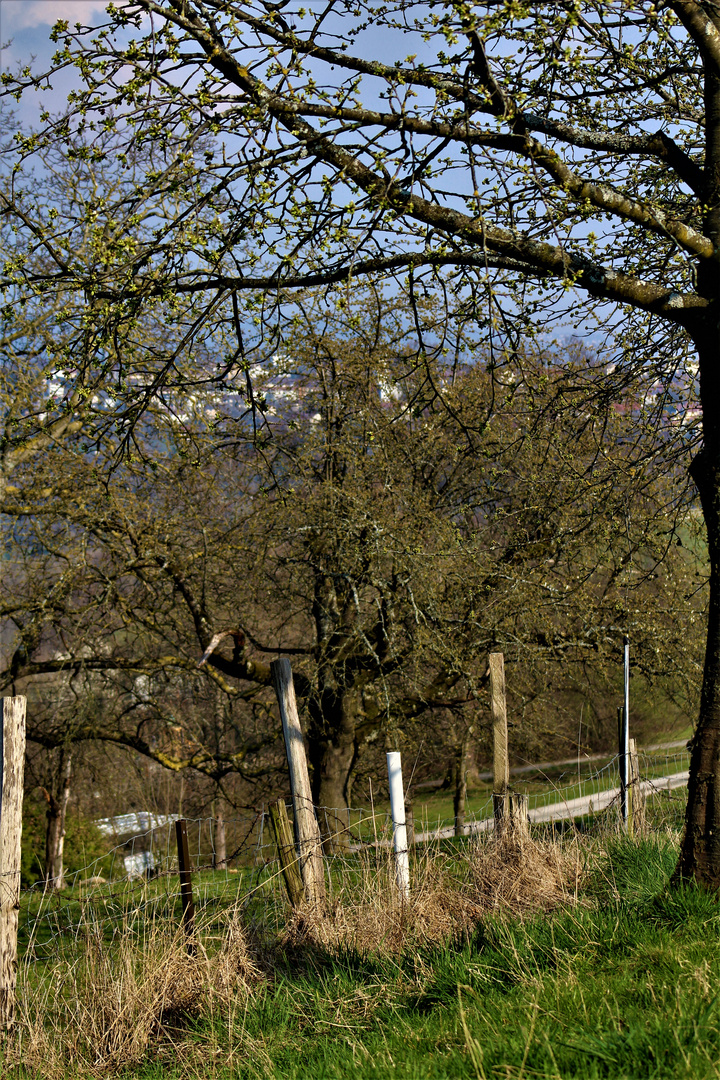 Gärten im Frühling