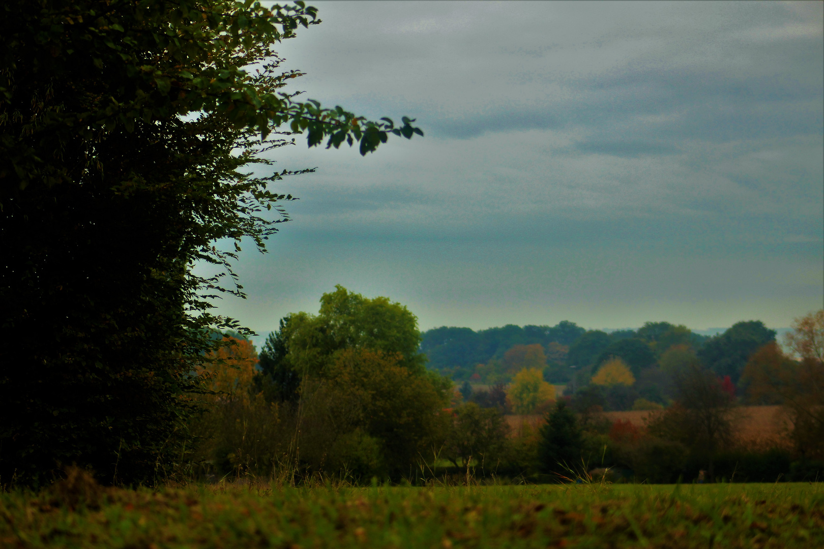 Gärten im Herbst 