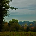 Gärten im Herbst 