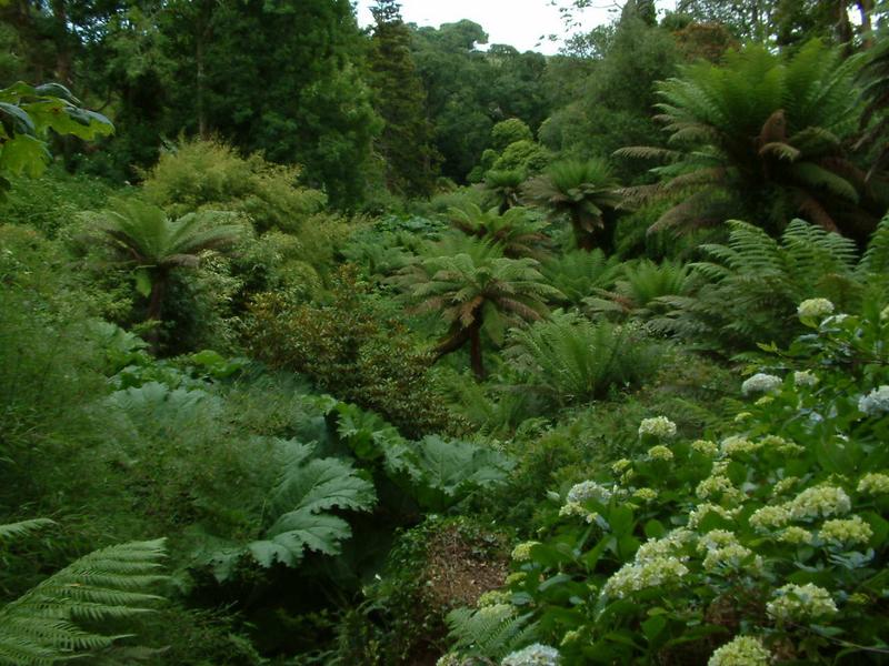 Gärten in Cornwall