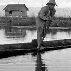 Gärtner am Inle See