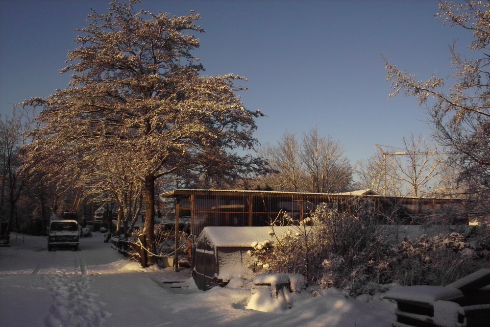 Gärtnerei im Schnee