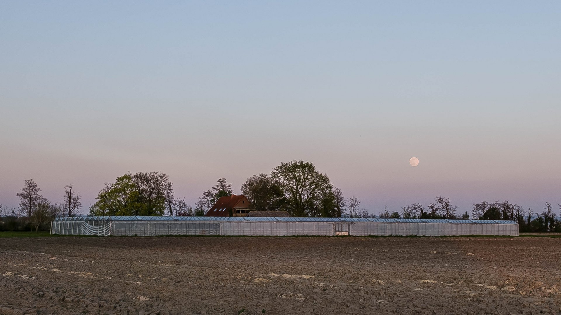 Gärtnern nach dem Mond