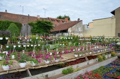 Gärtnerviertel Bamberg