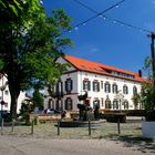 Gäsbockbrunnen Deidesheim