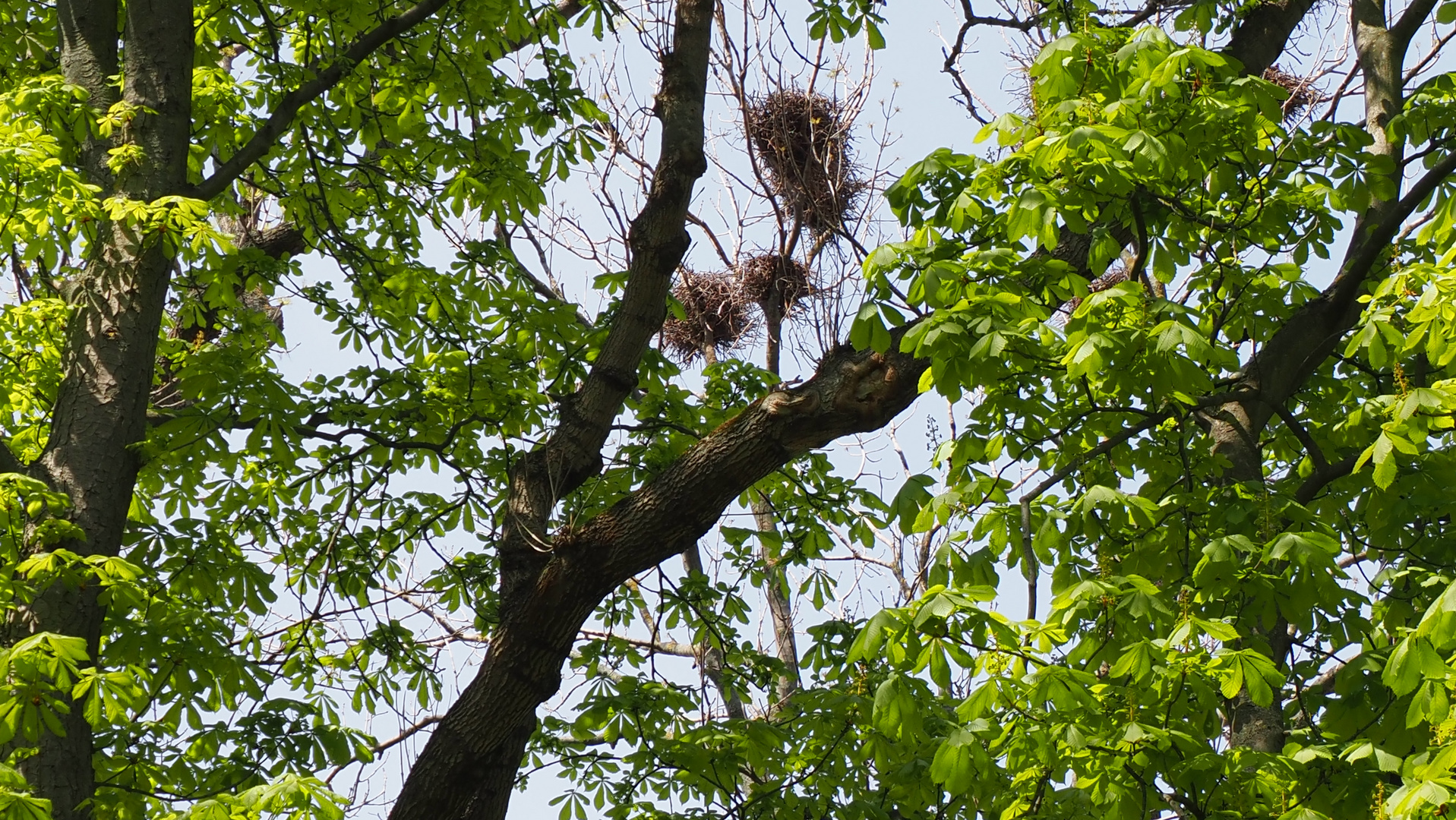 Gäste im Kurpark, Bad Lauchstädt