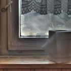 Gäste WC Aussicht mit vereistem Fenster