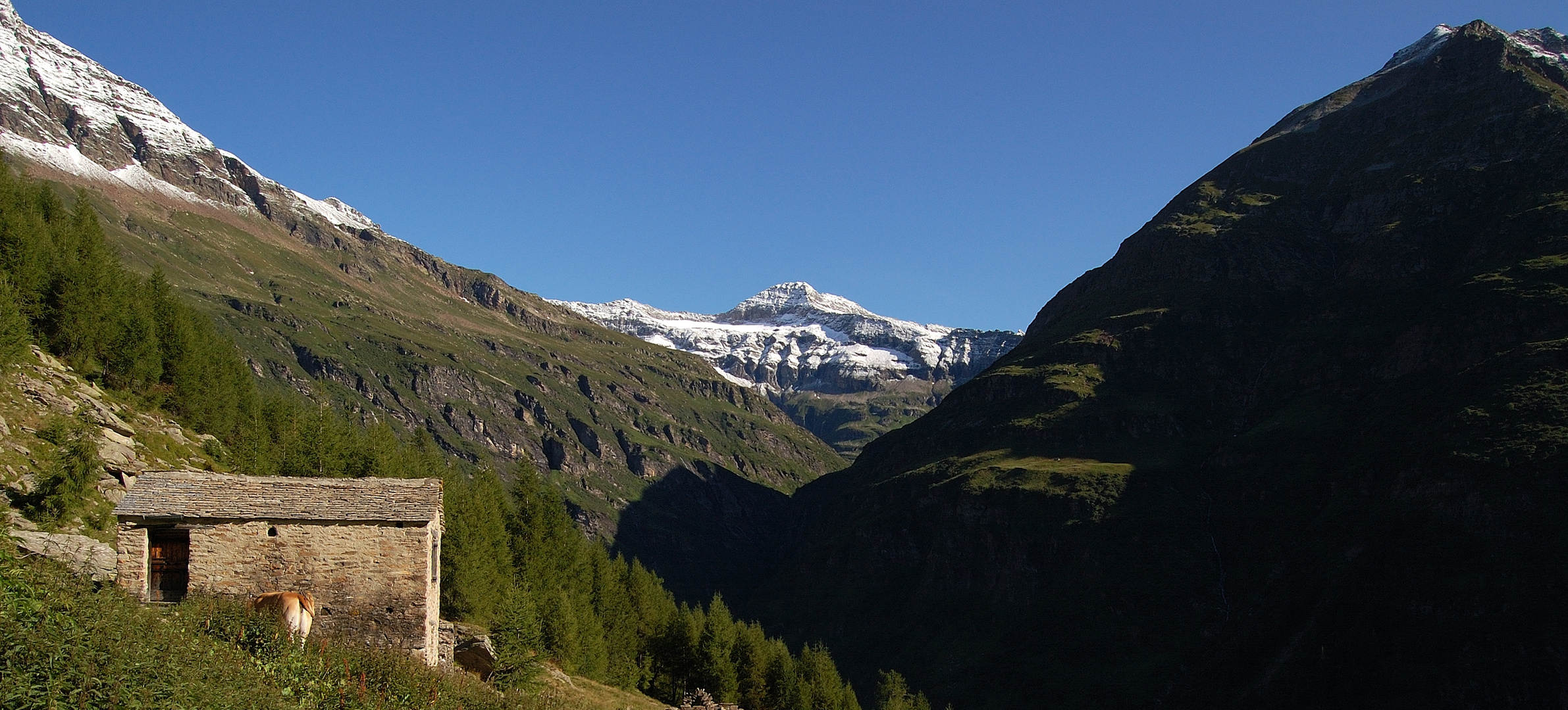 Gästehaus der Alp de Revi mit Bergpanorama