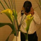 User Profile Photo