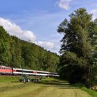 Gäubahn-Parade - V -