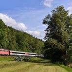 Gäubahn-Parade - V -