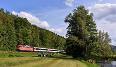 Gäubahn-Parade - V -