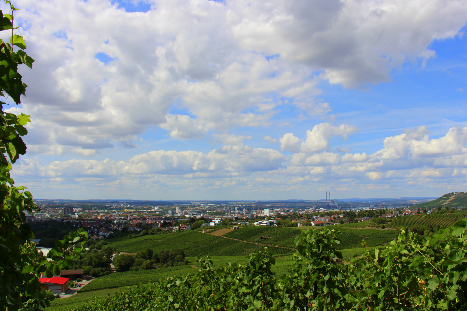 Gaffenber, Weinberge um Heilbronn