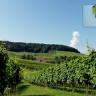 Gaffenberg, schöne Weinberge