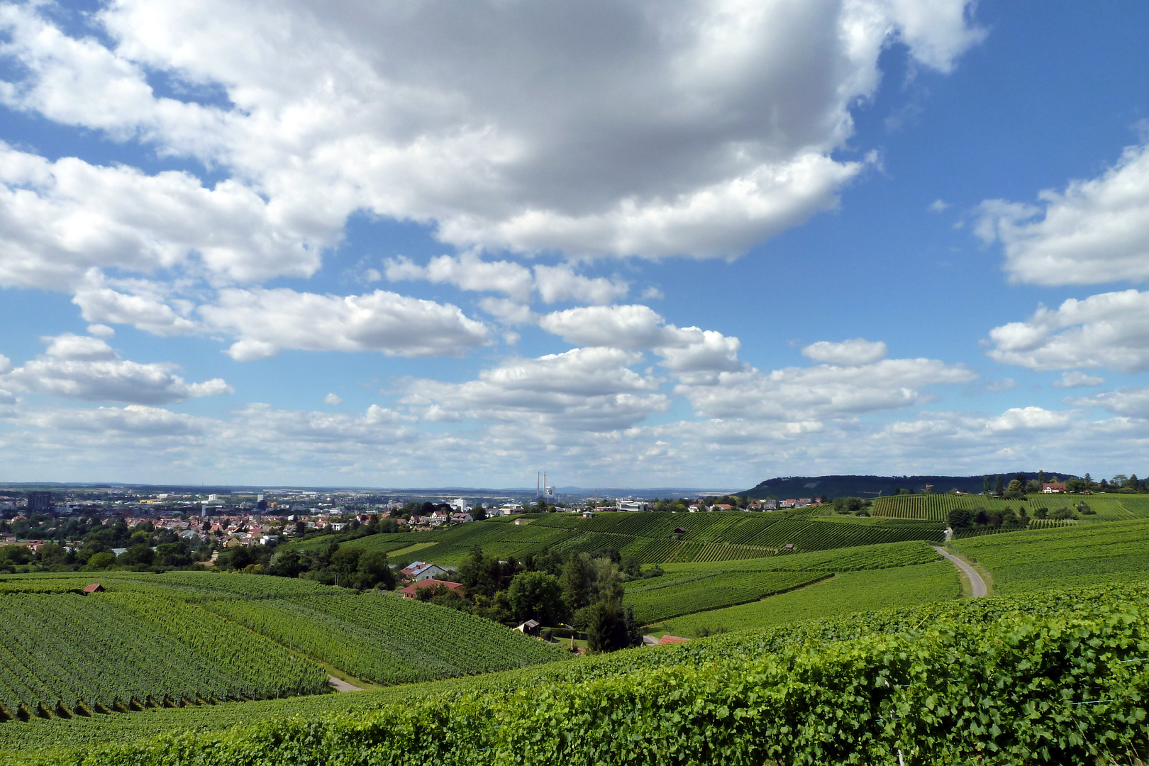 Gaffenberg, Weinberge (1)