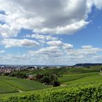 Gaffenberg, Weinberge (1)