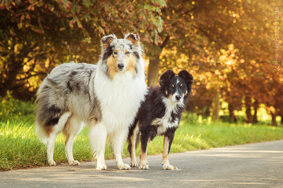 Gaia und Maggy