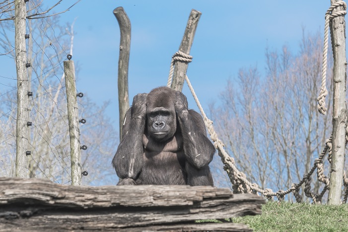 Gaia ZOO Kerkrade NL