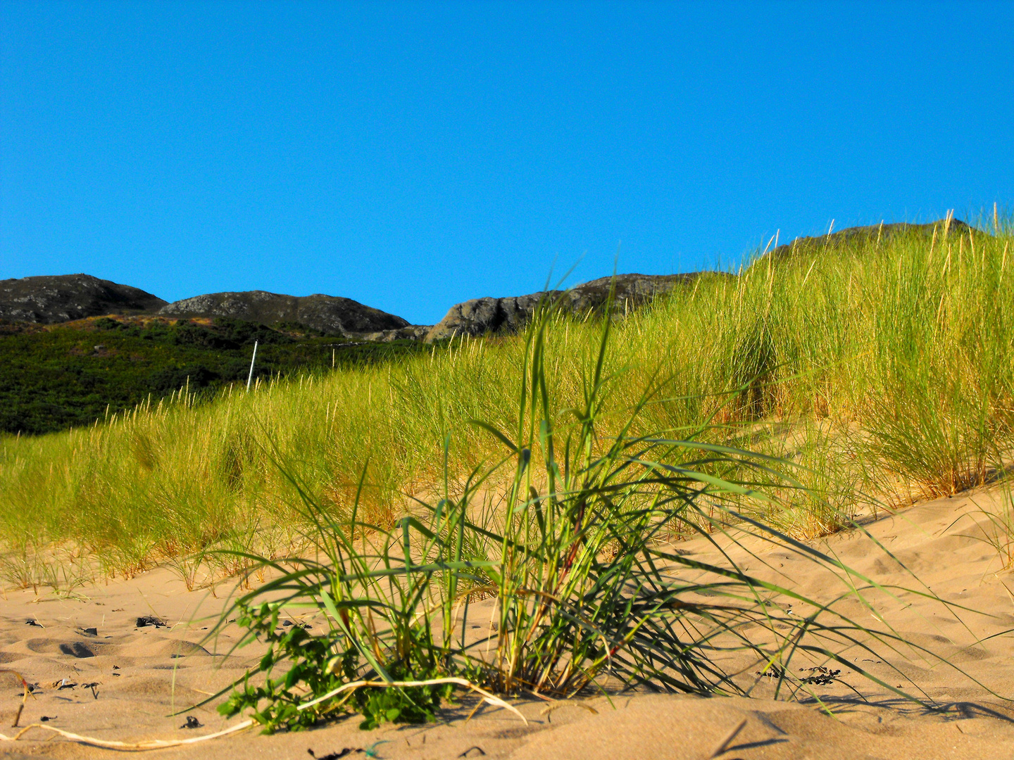 Gairloch Beach II