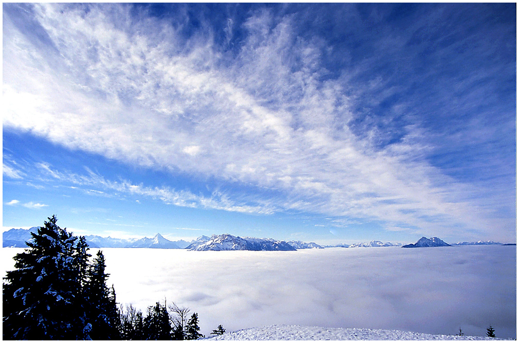 Gaisberg,Nebel