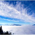 Gaisberg,Nebel